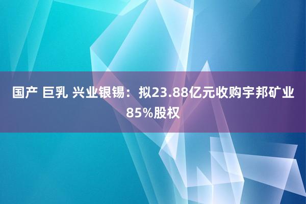 国产 巨乳 兴业银锡：拟23.88亿元收购宇邦矿业85%股权