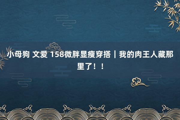 小母狗 文爱 158微胖显瘦穿搭｜我的肉王人藏那里了！！