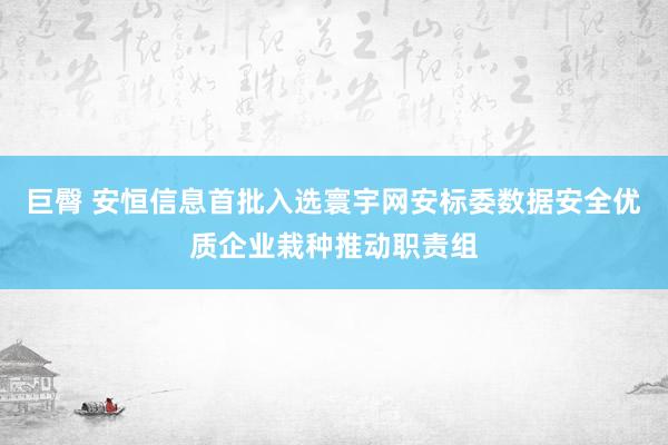 巨臀 安恒信息首批入选寰宇网安标委数据安全优质企业栽种推动职责组