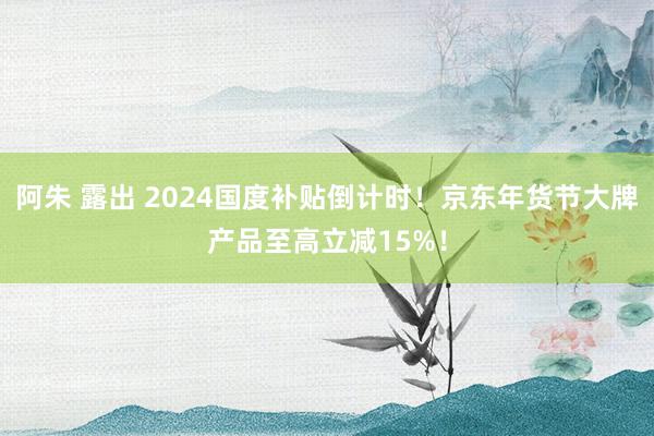 阿朱 露出 2024国度补贴倒计时！京东年货节大牌产品至高立减15%！