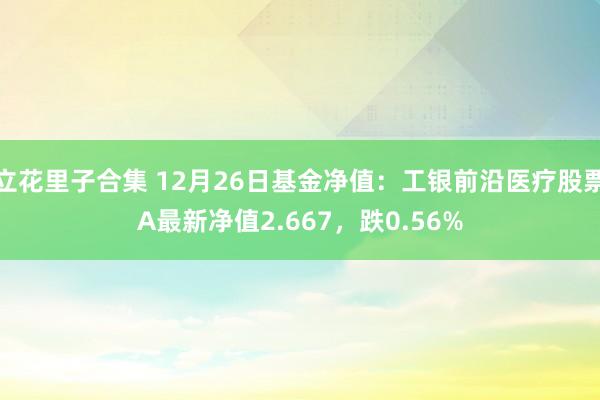 立花里子合集 12月26日基金净值：工银前沿医疗股票A最新净值2.667，跌0.56%