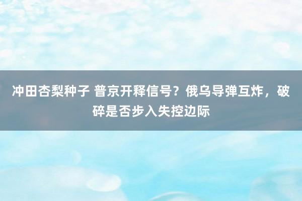 冲田杏梨种子 普京开释信号？俄乌导弹互炸，破碎是否步入失控边际