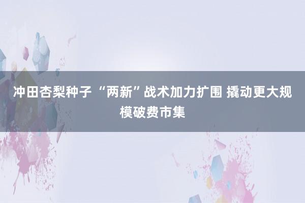 冲田杏梨种子 “两新”战术加力扩围 撬动更大规模破费市集