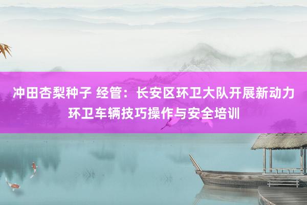 冲田杏梨种子 经管：长安区环卫大队开展新动力环卫车辆技巧操作与安全培训