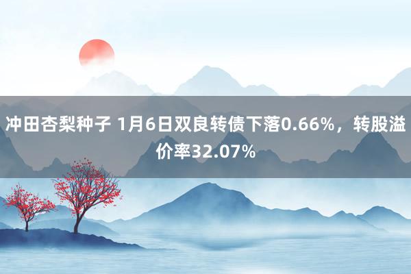 冲田杏梨种子 1月6日双良转债下落0.66%，转股溢价率32.07%