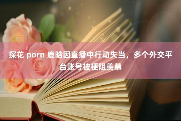 探花 porn 鹿晗因直播中行动失当，多个外交平台账号被梗阻羡慕