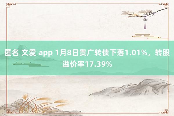 匿名 文爱 app 1月8日贵广转债下落1.01%，转股溢价率17.39%