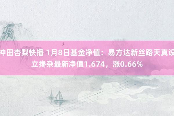 冲田杏梨快播 1月8日基金净值：易方达新丝路天真设立搀杂最新净值1.674，涨0.66%