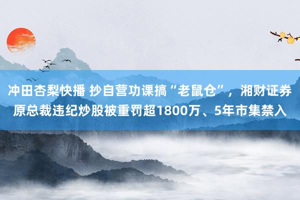 冲田杏梨快播 抄自营功课搞“老鼠仓”，湘财证券原总裁违纪炒股被重罚超1800万、5年市集禁入