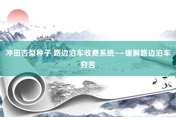 冲田杏梨种子 路边泊车收费系统——缓解路边泊车穷苦