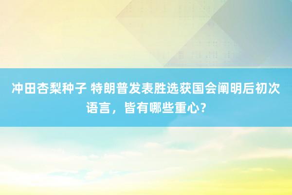 冲田杏梨种子 特朗普发表胜选获国会阐明后初次语言，皆有哪些重心？