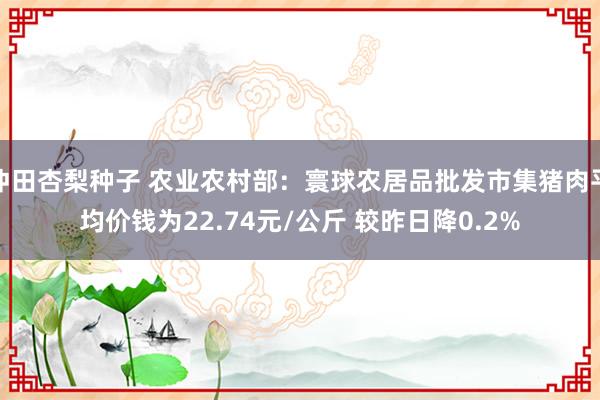 冲田杏梨种子 农业农村部：寰球农居品批发市集猪肉平均价钱为22.74元/公斤 较昨日降0.2%